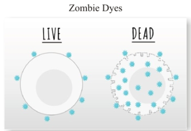 流式輔助試劑5.png 流式輔助試劑5.png